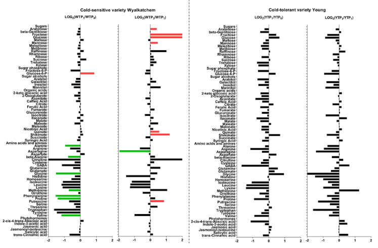 【育種創(chuàng)新加速器】安捷倫代謝組學方案解鎖育種核心場景