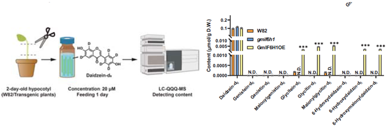【育種創(chuàng)新加速器】安捷倫液質(zhì)聯(lián)用助力破解大豆抗疫病的 “代謝平衡密碼