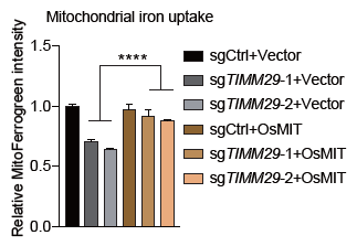 前沿 | 細(xì)胞能量分析與代謝表征助力線粒體鐵硫簇調(diào)控因子的突破性發(fā)現(xiàn)