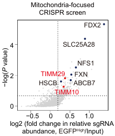 前沿 | 細(xì)胞能量分析與代謝表征助力線粒體鐵硫簇調(diào)控因子的突破性發(fā)現(xiàn)