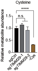 前沿 | 細(xì)胞能量分析與代謝表征助力線粒體鐵硫簇調(diào)控因子的突破性發(fā)現(xiàn)