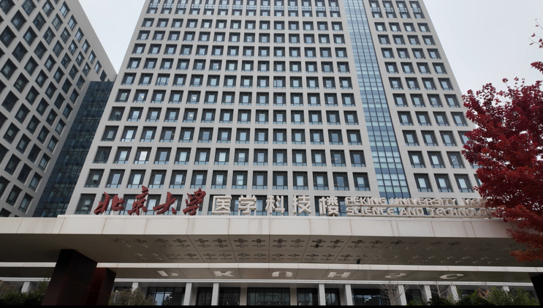 合成生物學(xué)研究先鋒側(cè)記（四） 喬雪研究員