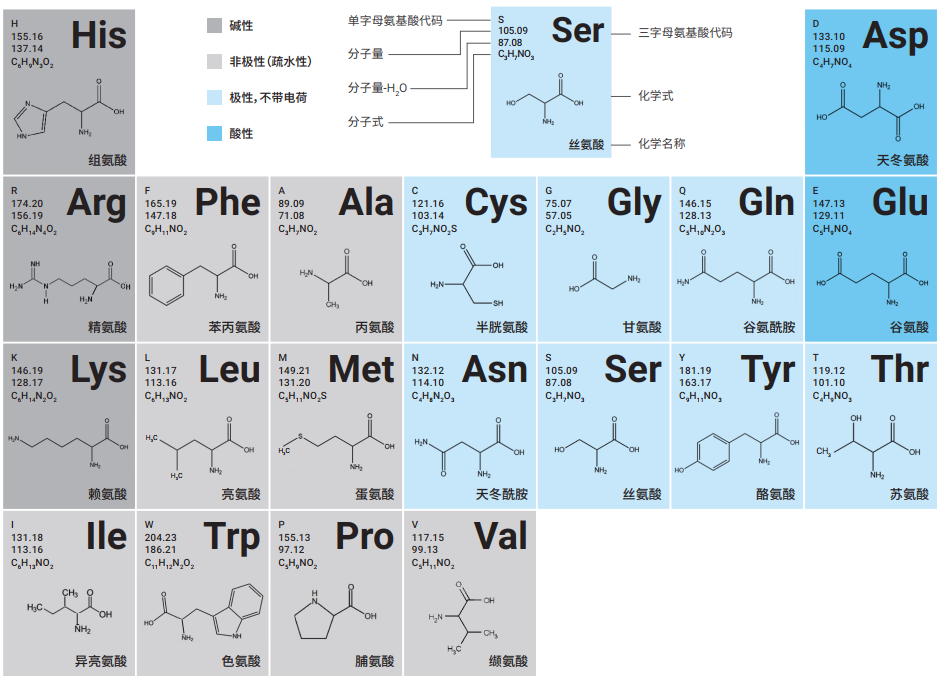 解碼氨基酸分析難題，安捷倫全維度解決方案賦能精準(zhǔn)檢測(cè)