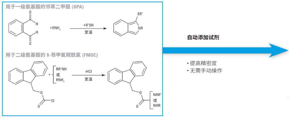 解碼氨基酸分析難題，安捷倫全維度解決方案賦能精準(zhǔn)檢測(cè)
