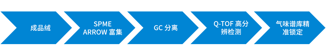 基于 GC/Q-TOF 的羽絨異味客觀分析技術(shù)路徑