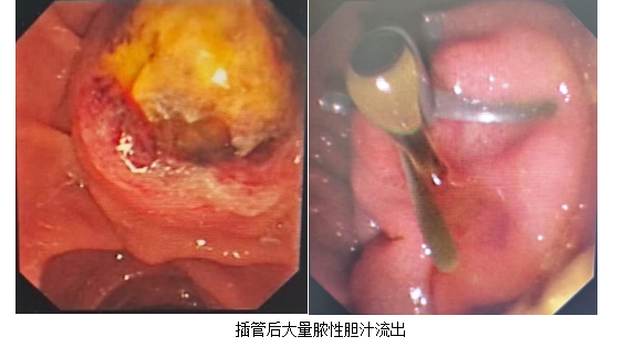 微信图片_20260520080947_220_16.png