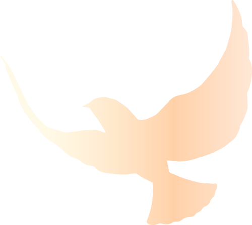 為什么選擇CIF？