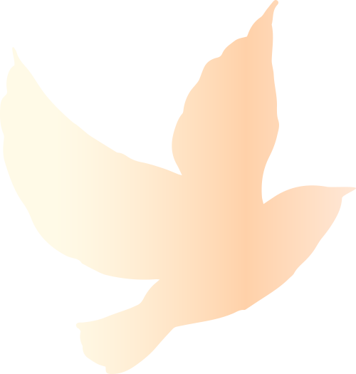 為什么選擇CIF？