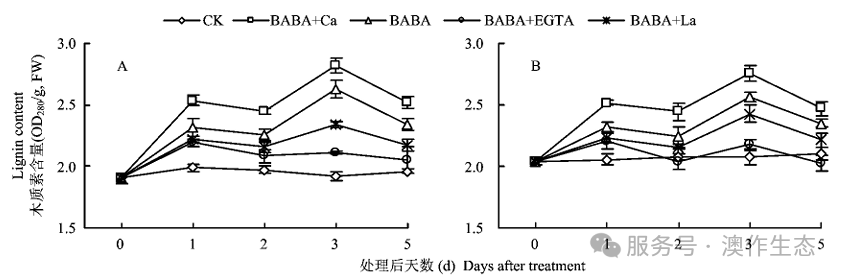 LIBS-拉曼微区同步检测木质素与矿质元素耦合研究