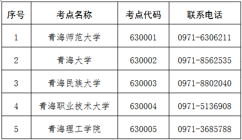 青海2026年下半年全国计算机等级考试网上报名公告(图2)