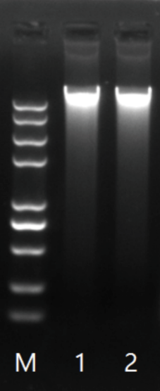 ����ˮ��ٱ�����ȡ�±�ˡ����ȸ�����������и�Ч�ƽ�