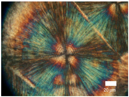 塑料样条的制备条件对力学性能检测准确性的研究的图6