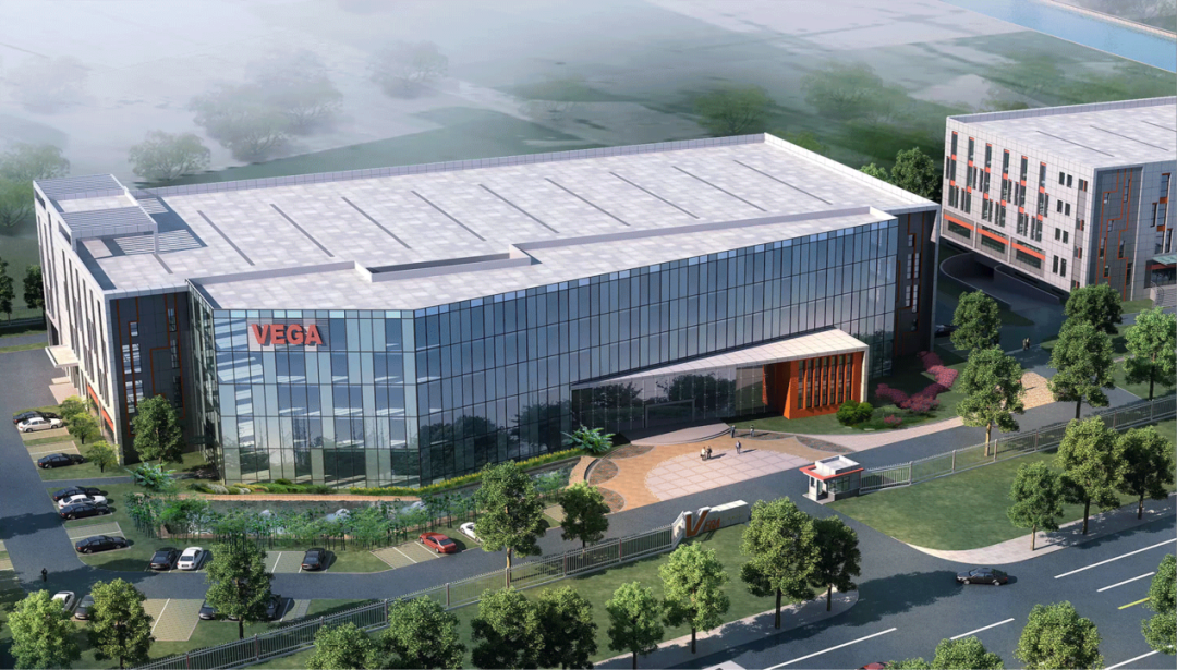 VEGA.jpg
