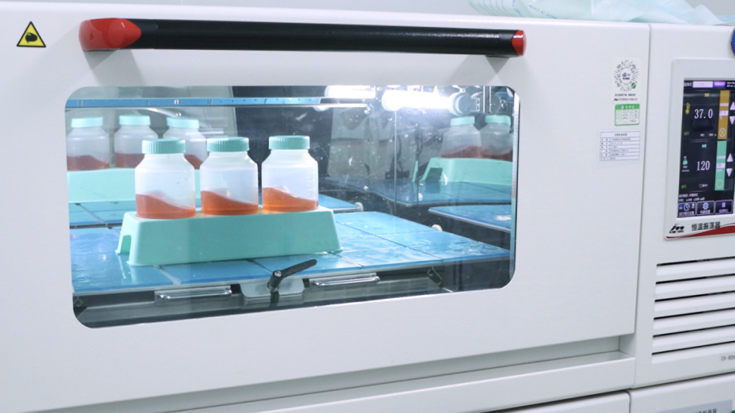 新品上市 | 600mL大容量錐形離心瓶和600mL生物反應管上新啦