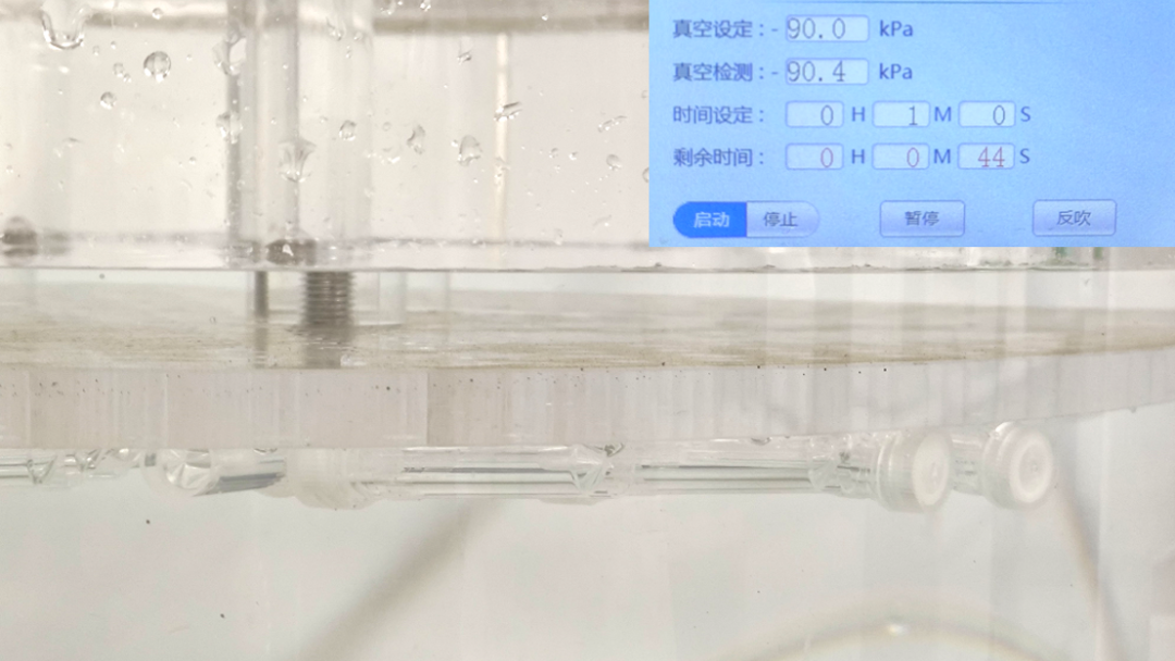 新品上市 | 洁特生物2mL带齿双色盖冻存管