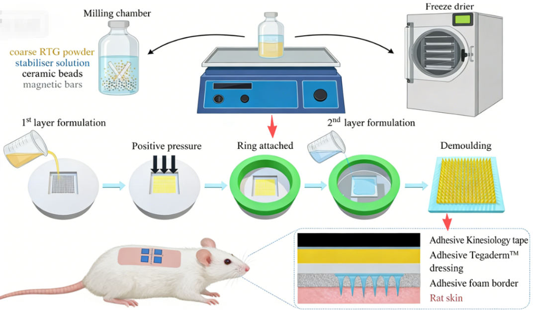 突破帕金森病給藥瓶頸：納米技術+微針貼片，皮膚上的“智能藥庫
