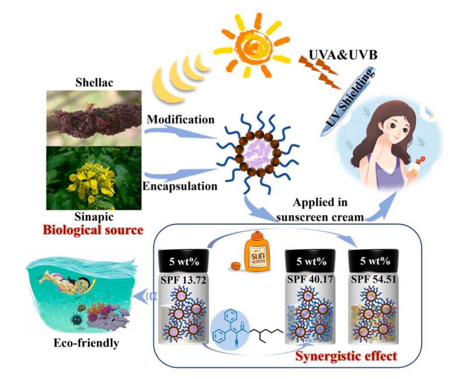 您好~您有一份夏季防曬霜“攻略