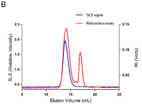SLS技術在胞外多糖（EPS）結構表征方面的應用