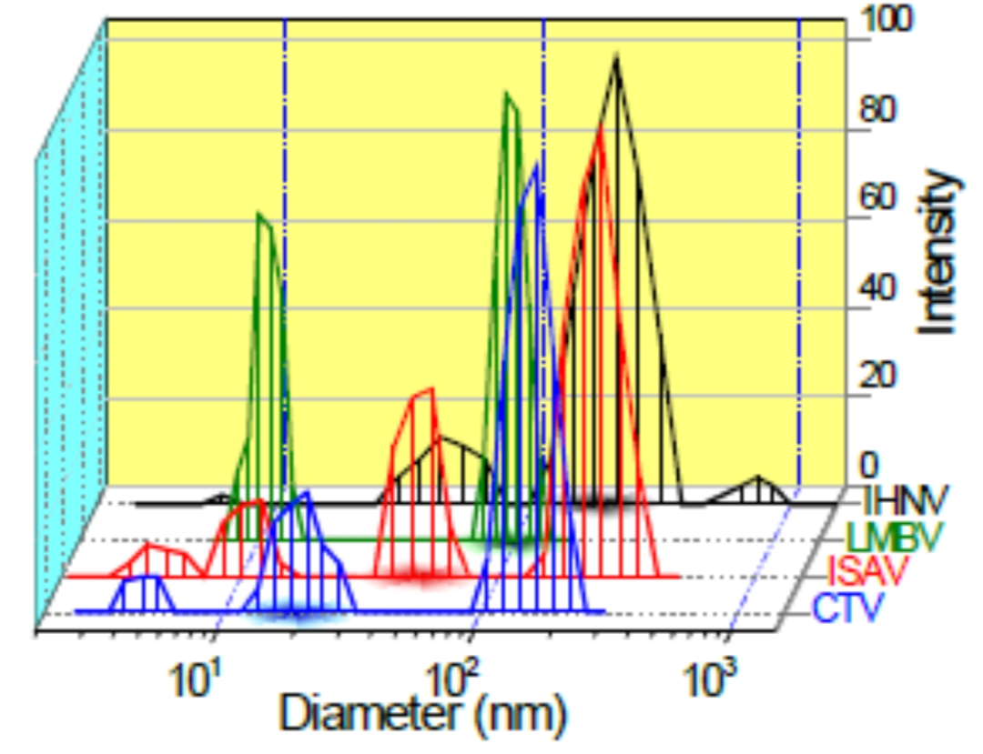 通過(guò)動(dòng)態(tài)光散射分析培養(yǎng)基中的病毒顆粒