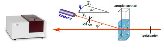 通過(guò)動(dòng)態(tài)光散射分析培養(yǎng)基中的病毒顆粒