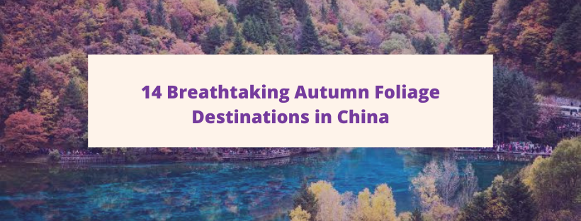 Autumn in China ： 4 Scenic Itineraries to Explore This Season