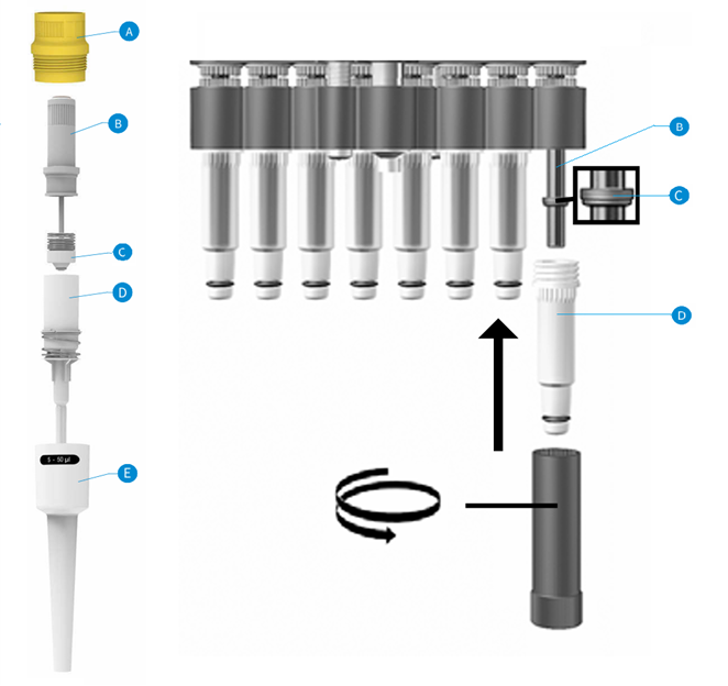 年終養護指南：跟著貝博士一起給移液器做【深度SPA】