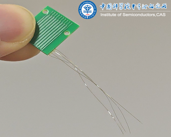 半导体所电极 (2).png