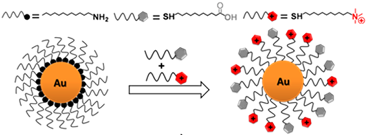 混合電荷納米顆粒的調控pH穩(wěn)定性機理研究