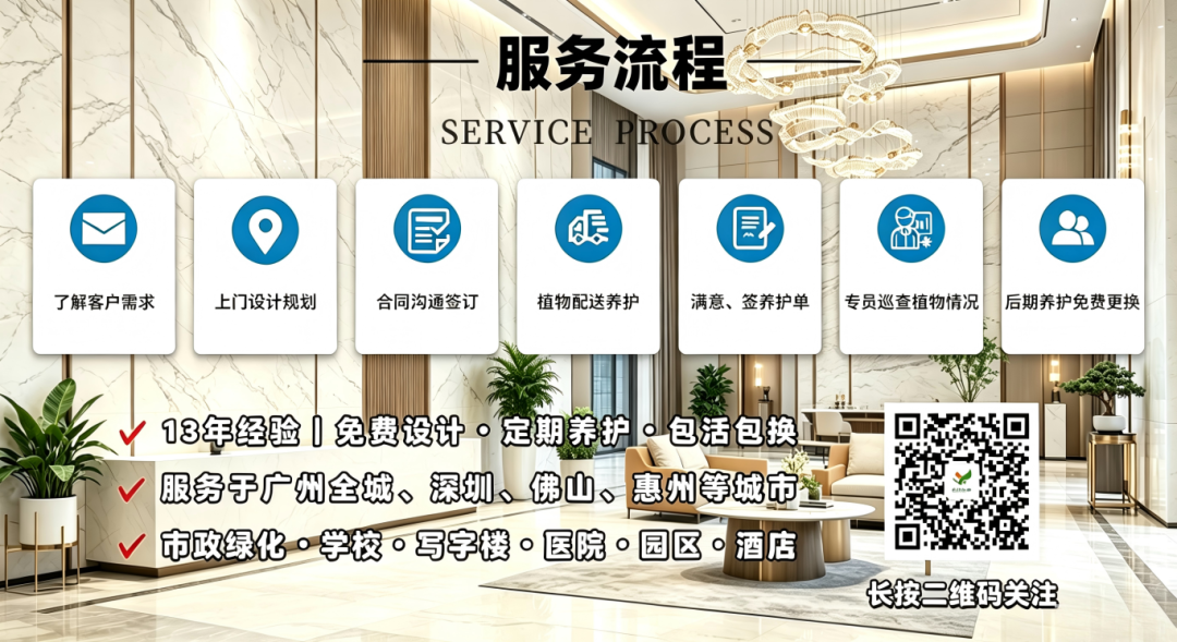 9b21cfe15cd8155b34026248c3d9c09e.png