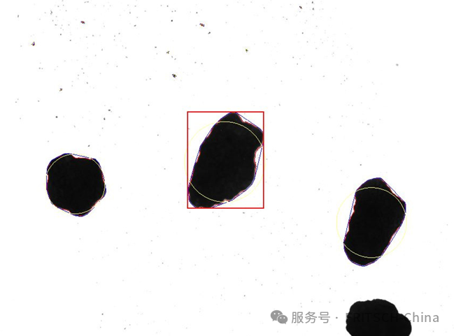从糖果厂到实验室：动态图像法如何给“糖珠