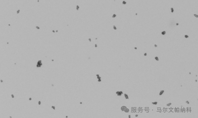 【热点应用】颗粒粒径与形貌如何影响原料药的流动性？