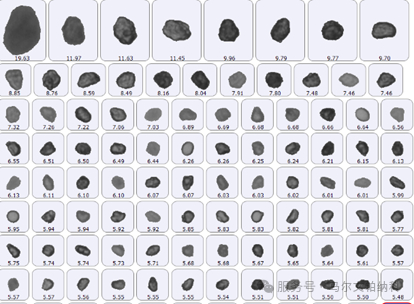 【热点应用】颗粒粒径与形貌如何影响原料药的流动性？