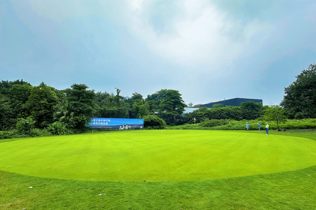 3dece26207bb439e40132c86bee82ca1