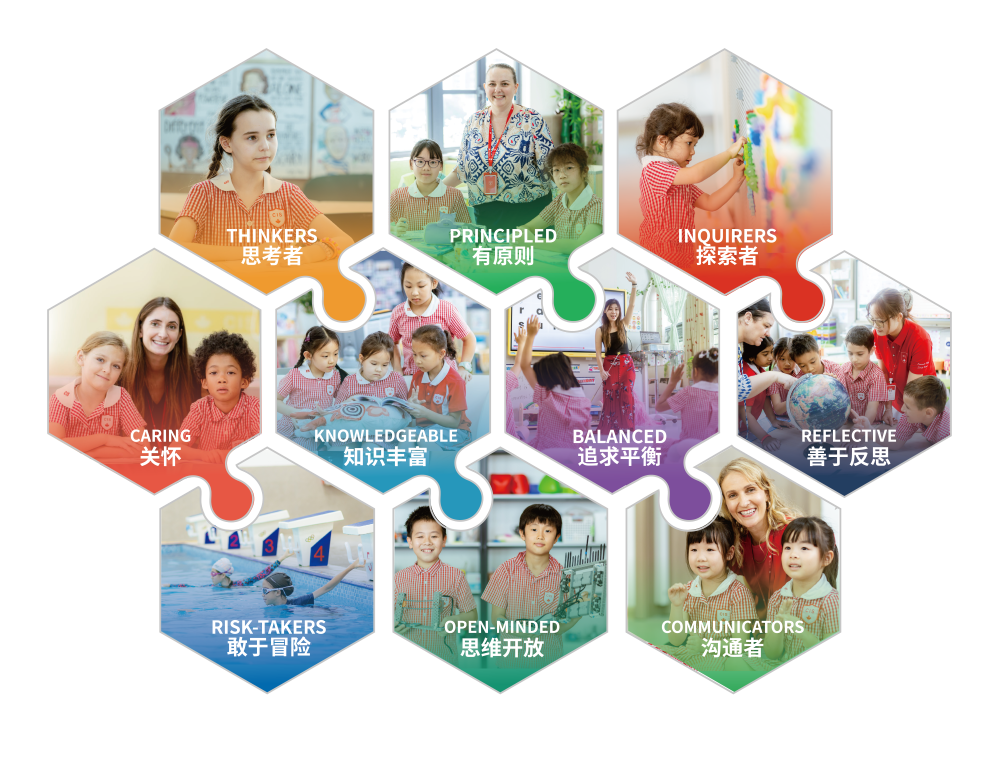 c2f8c1b2ccbba15bbc7f7755a7a1e54a