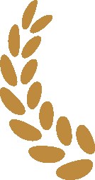 案例分享 ∣ ACCU高精度質(zhì)量流量計(jì)成功應(yīng)用于-196℃超低溫流體