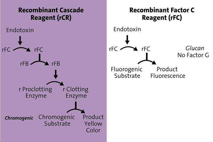 重組細(xì)菌內(nèi)毒素試劑的驗(yàn)證