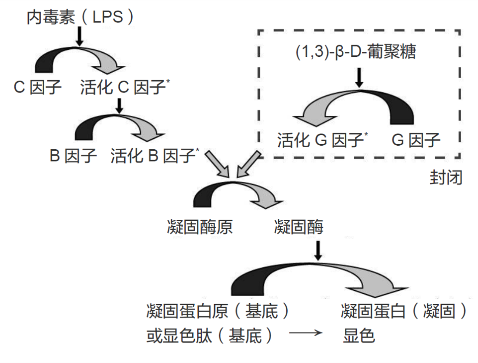 Sievers Eclipse細(xì)菌內(nèi)毒素檢測：克服抑制/增強(qiáng)干擾的操作程序
