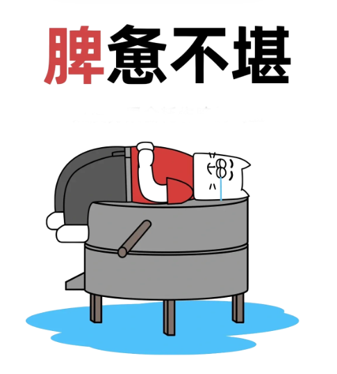 明胶在血管怎么降解脾脏破裂必须要切掉脾脏吗？医生：不一定！它可以保你脾脏一命_https://www.jmylbn.com_新闻资讯_第10张