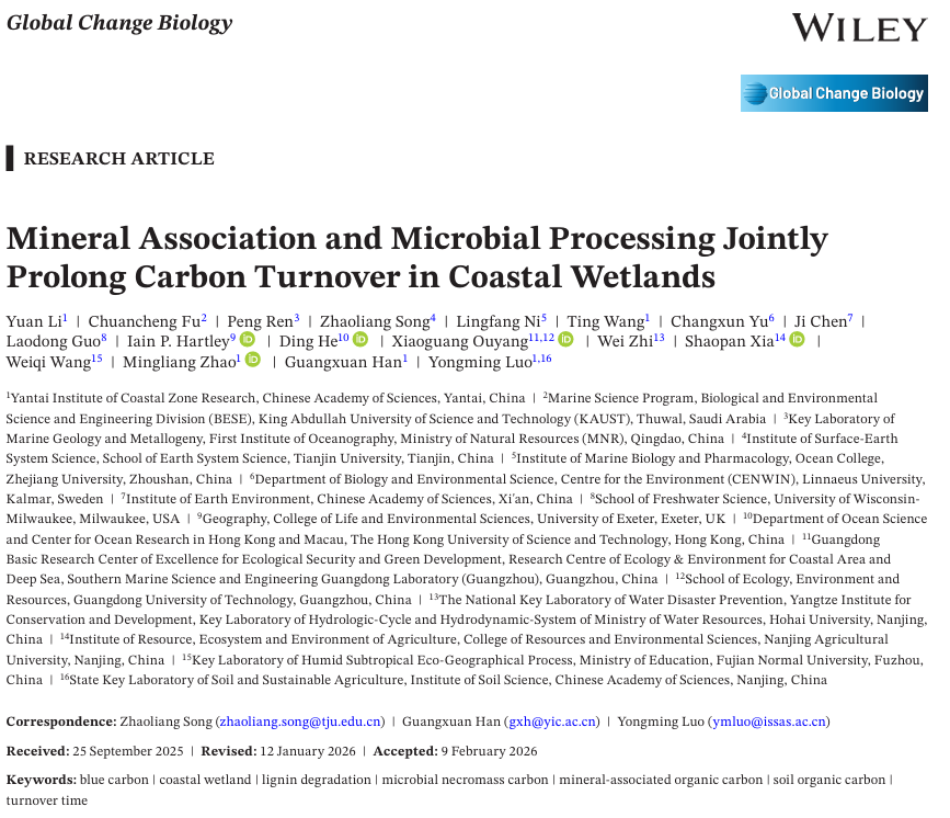 客户文章（GCB）| 矿物结合和微生物转化共同延长滨海湿地碳周转