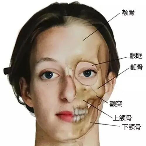 A Symbiotic Future: When Technology Understands the Sighs of the Skin