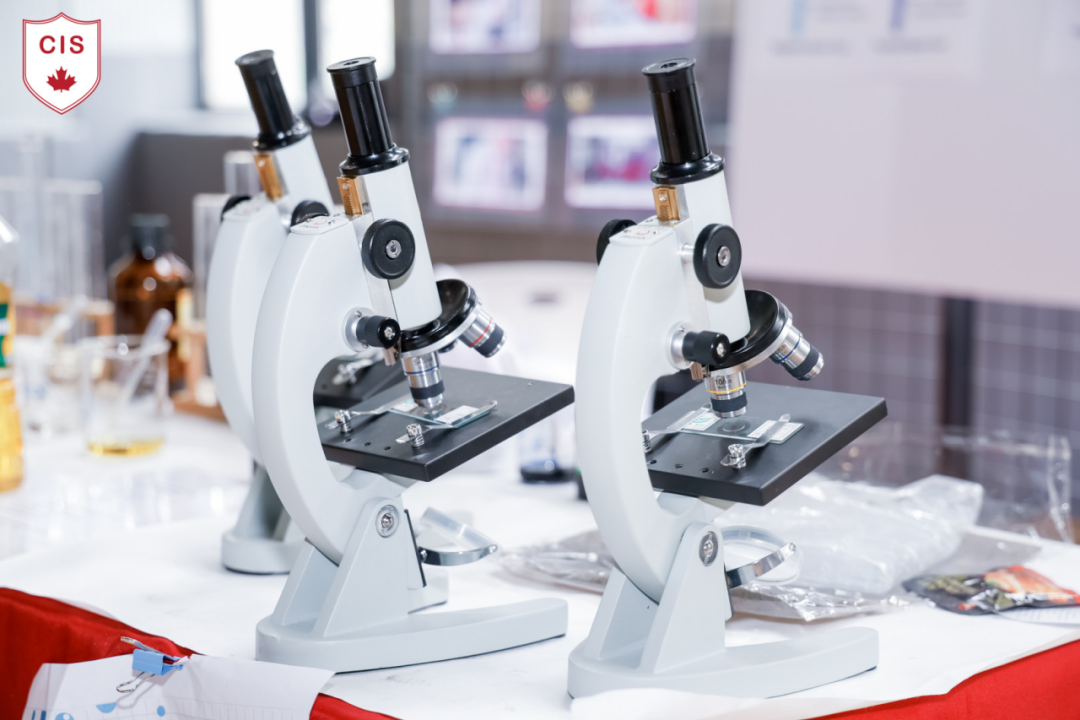 微信图片_2026-03-10_110547_717