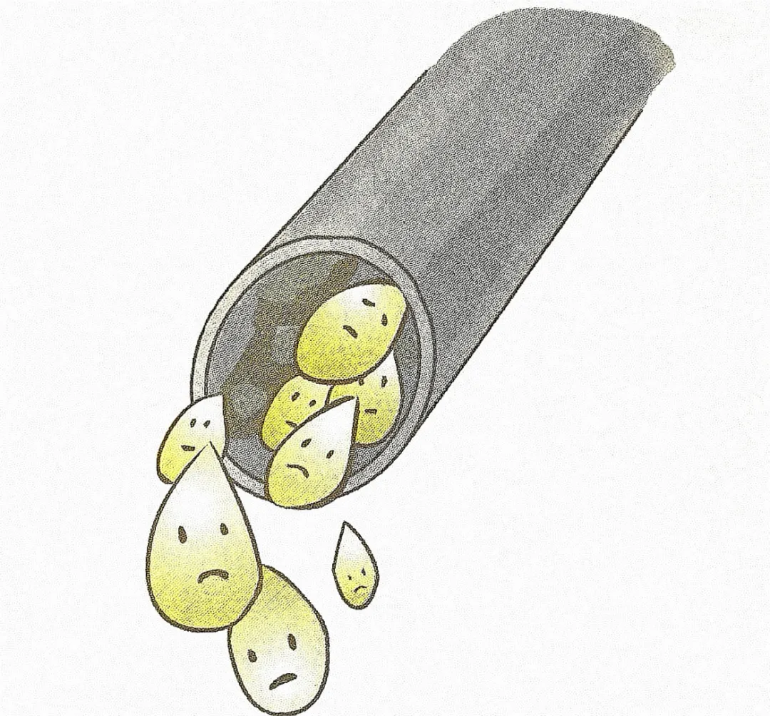 ͼƬ