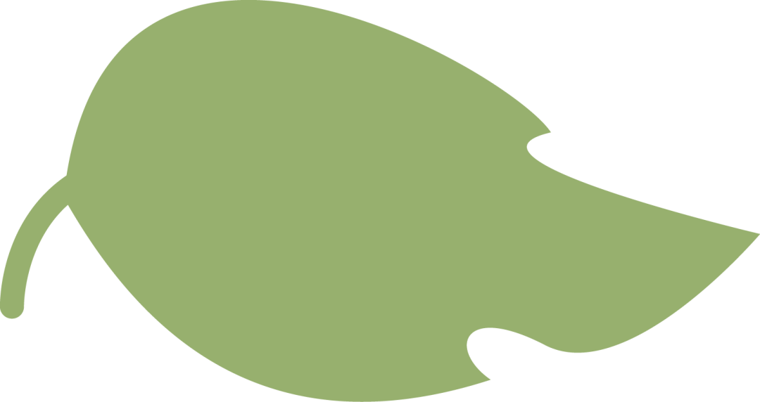 欢庆丰收，亲子同乐 ——2025学年东城幼儿园亲子运动会-幼师课件网第2张图片