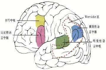 tms什么医疗重焕大脑机能之光！这项康复治疗黑科技，是时候了解下了！_https://www.jmylbn.com_新闻资讯_第6张
