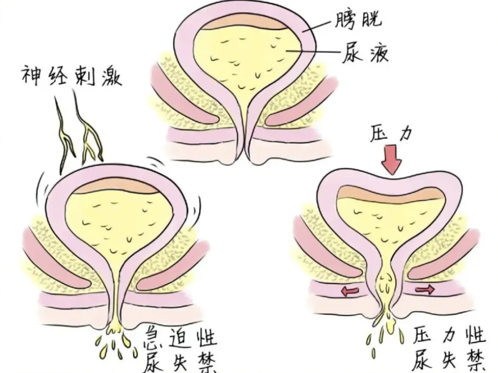 截屏2026-04-15 15.34.13.png