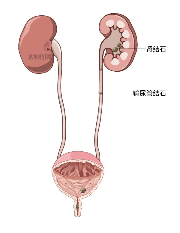 17664a99da3d1039419.png