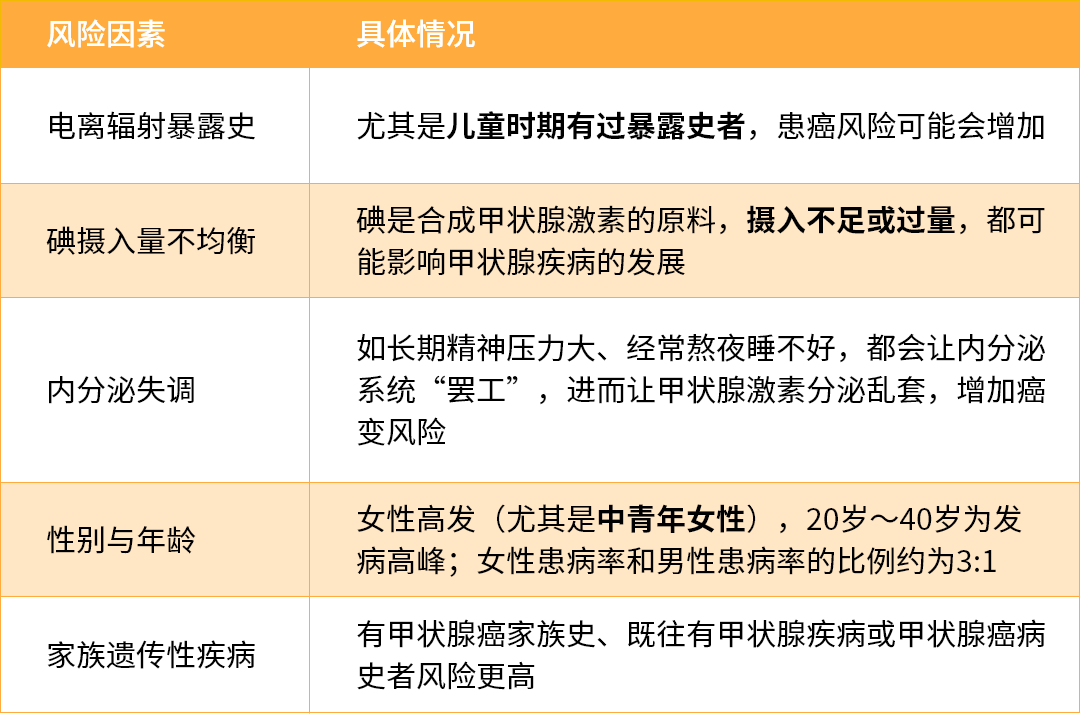 1-260521133552A6.png