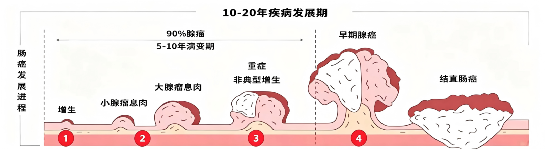 1-26052G5504c09.png