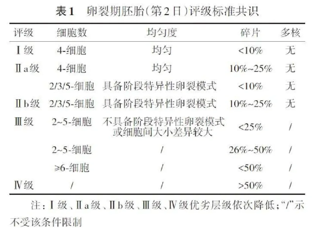 胚胎形态学评价标准：专家共识