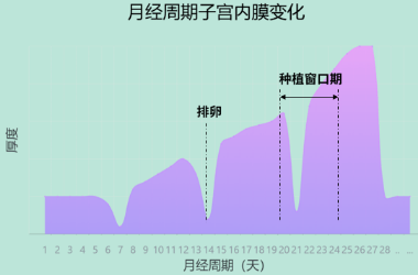 做试管婴儿必须查移植窗口期吗? - 好孕无忧